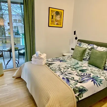 Alejos Apartmentai Comfort * Druskieniki