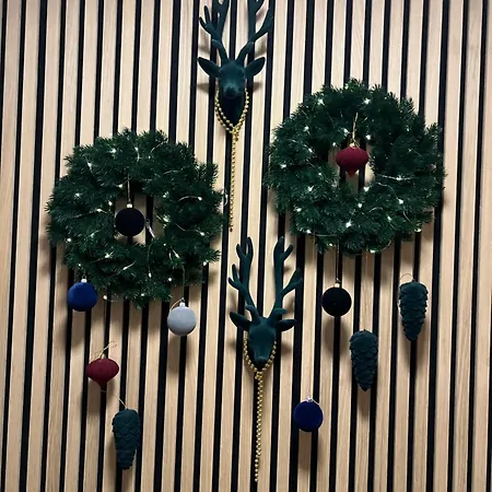 Alejos Apartmentai Comfort Апартаменты Друскининкай