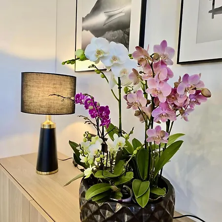 Alejos Apartmentai Comfort Druskininkai