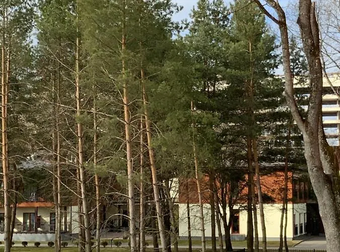 Apartament Alejos Apartmentai Comfort Druskieniki