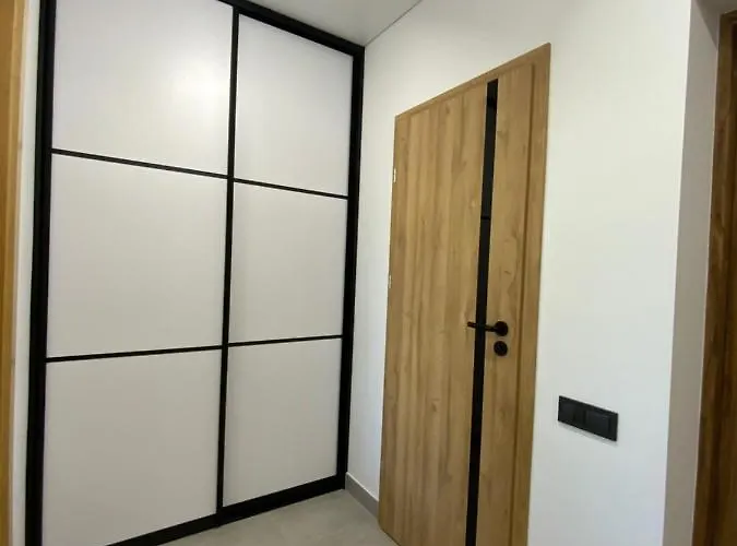 Alejos Apartmentai Comfort Druskieniki