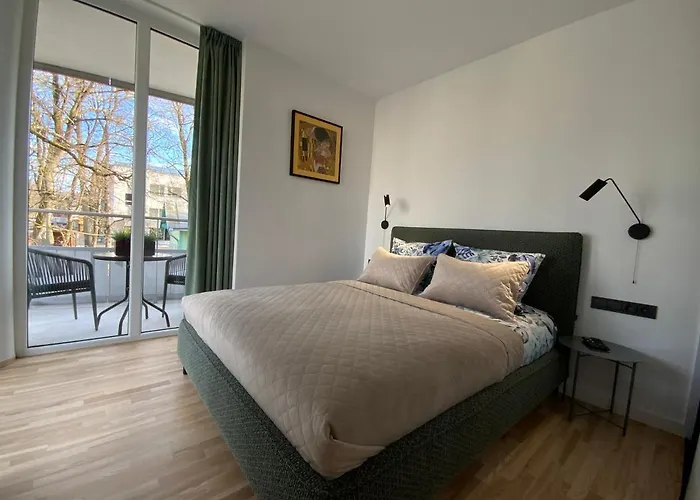 Alejos Apartmentai Comfort * Druskieniki