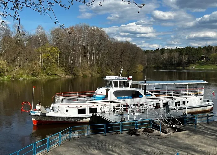 Alejos Apartmentai Comfort Druskieniki