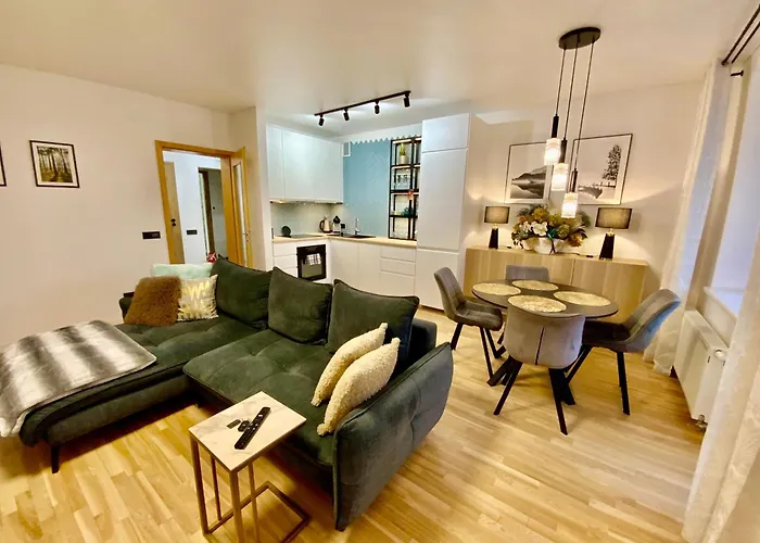 Alejos Apartmentai Comfort Apartament Druskieniki