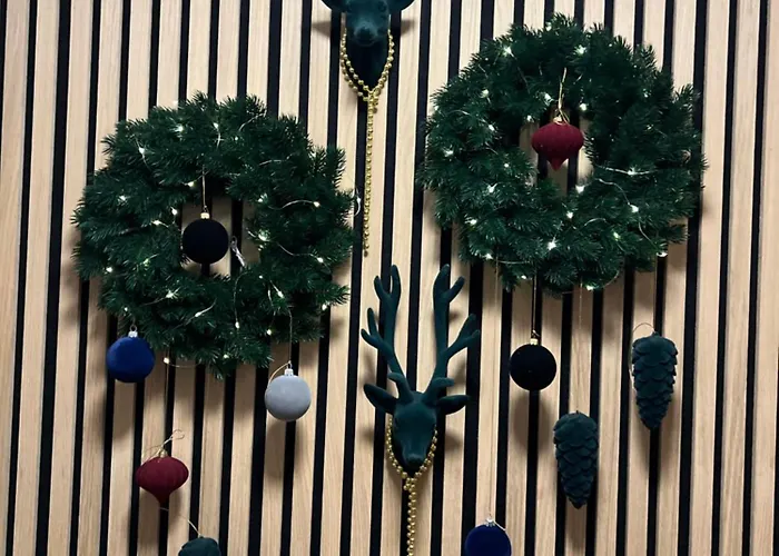 Alejos Apartmentai Comfort Apartament Druskieniki